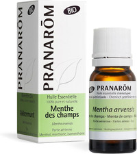 - Menthe Des Champs Bio - Huile Essentielle Chémotypée - Digestion - Pure Et Nat