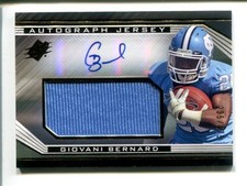 2013 SPx Football Cards 31