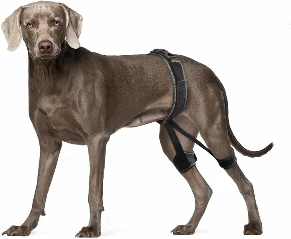 Dog Hip Brace for Hip Dysplasia,Luxating Patella,Hip Pain,Dog Hip