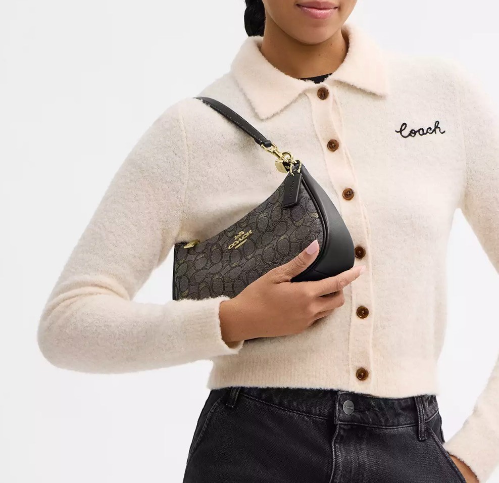 NWT Coach Teri Shoulder Bag In Signature Jacquard CCZ02 (shinning