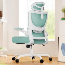 Ergonomic Office Chair: Office Computer Desk Chair with High Back Mesh and Ad...