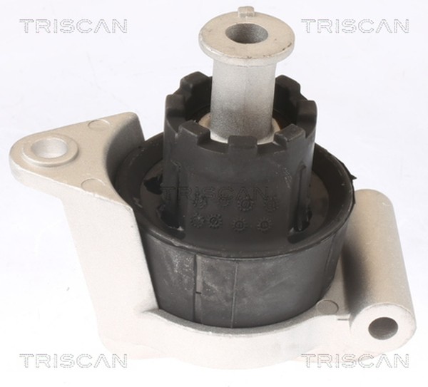 Motorlager Triscan 8505 24103 FüR Opel Astra Caravan T98 CC A04 F70 GTC L70 F35-image