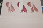 Kylie Cosmetics High Gloss 3 Pack High Shine Lip Gloss-NIB — photo 2