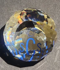 Swarovski Silver Crystal 1987 SCS Charter Member Paperweight Nice Retired HTF