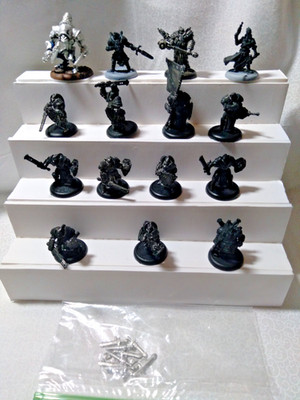 Warmachine Cygnar Lot Sword Knights, Brisbane, Stryker, Strangeways + Privateer
