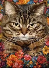 Diamond Art Craft Kit for Adults Cat Design Enhanced with Extra Diamonds