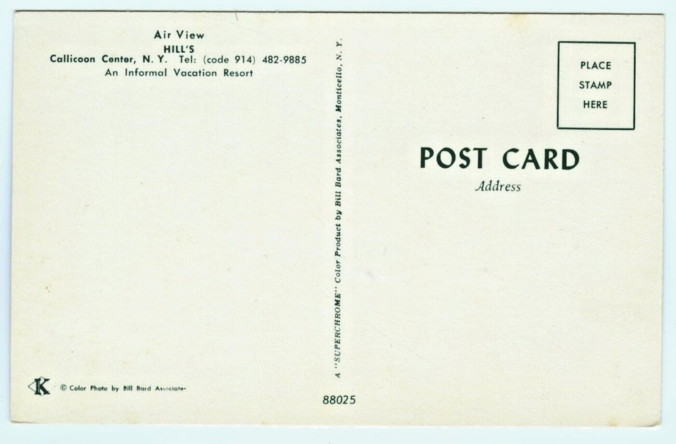 Callicoon Center New York NY Hill's Vacation Resort Aerial View Postcard eBay