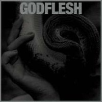 Godflesh: Purge (Black Vinyl) - - (Lp / P)