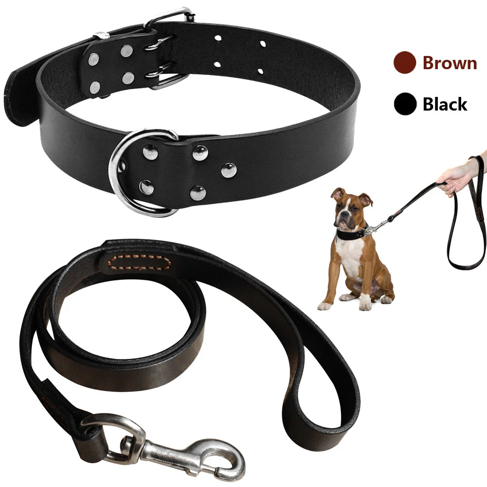 Strong leash for hot sale pitbull