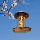 Bild 3 von 8