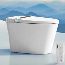 Smart Bidet Toilet with Heated Seat, Auto Flush, Remote Control  Night Light