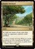 Exotic Orchard - Land NM RARE Commander: Tarkir: Dragonstorm [TDC] MTG Regular