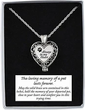 (Abbey & CA Gift Always in My Heart Memorial Pet Locket, Includes 24-Inch Chain