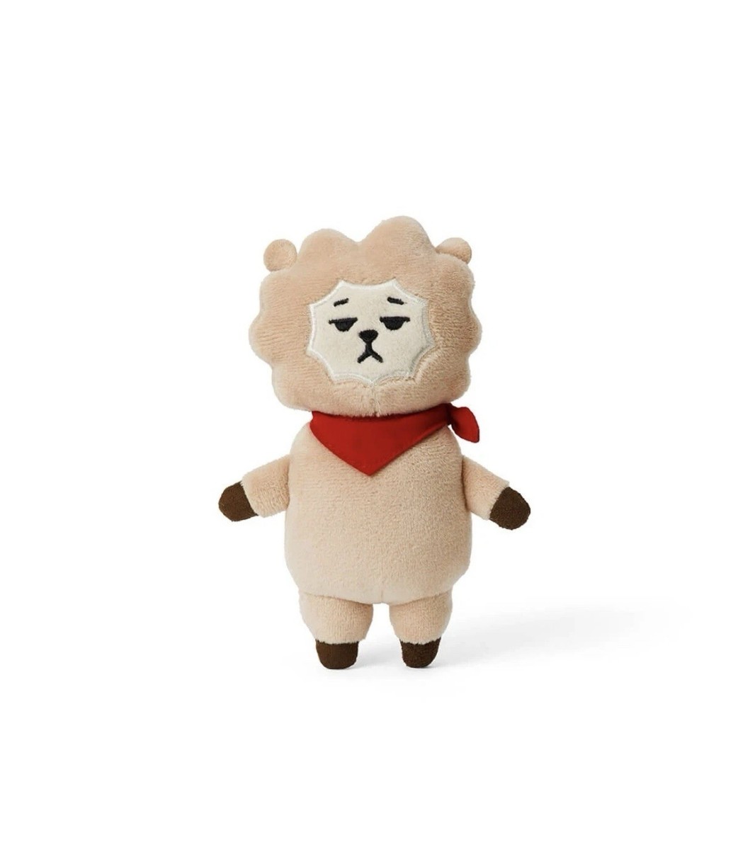 BT21 RJ Universe Plush Standing Doll Box Set New | eBay
