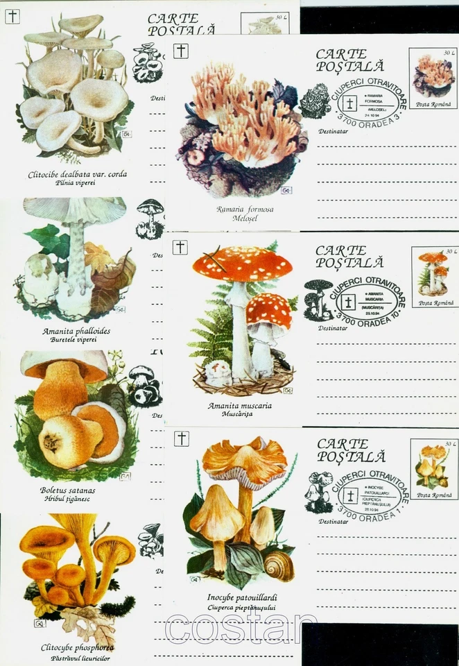 Champiñones 1994, setas, champiñones, hongos, setas, insectos, Rumania = 14 tarjetas CDS/PS Foto 2 de 2
