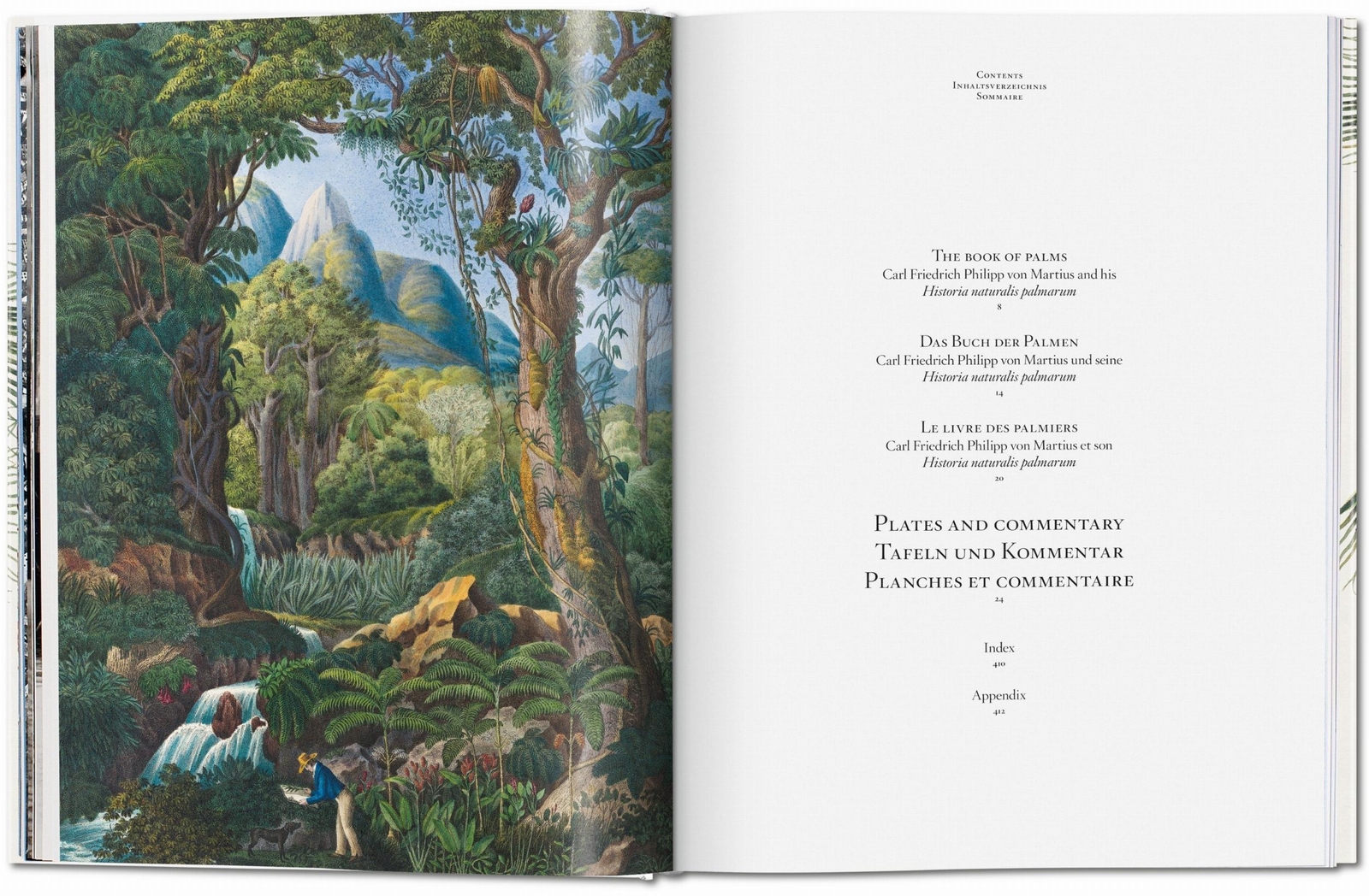 Thumbnail - Martius. The Book Of Palms | Lack, H. Walter