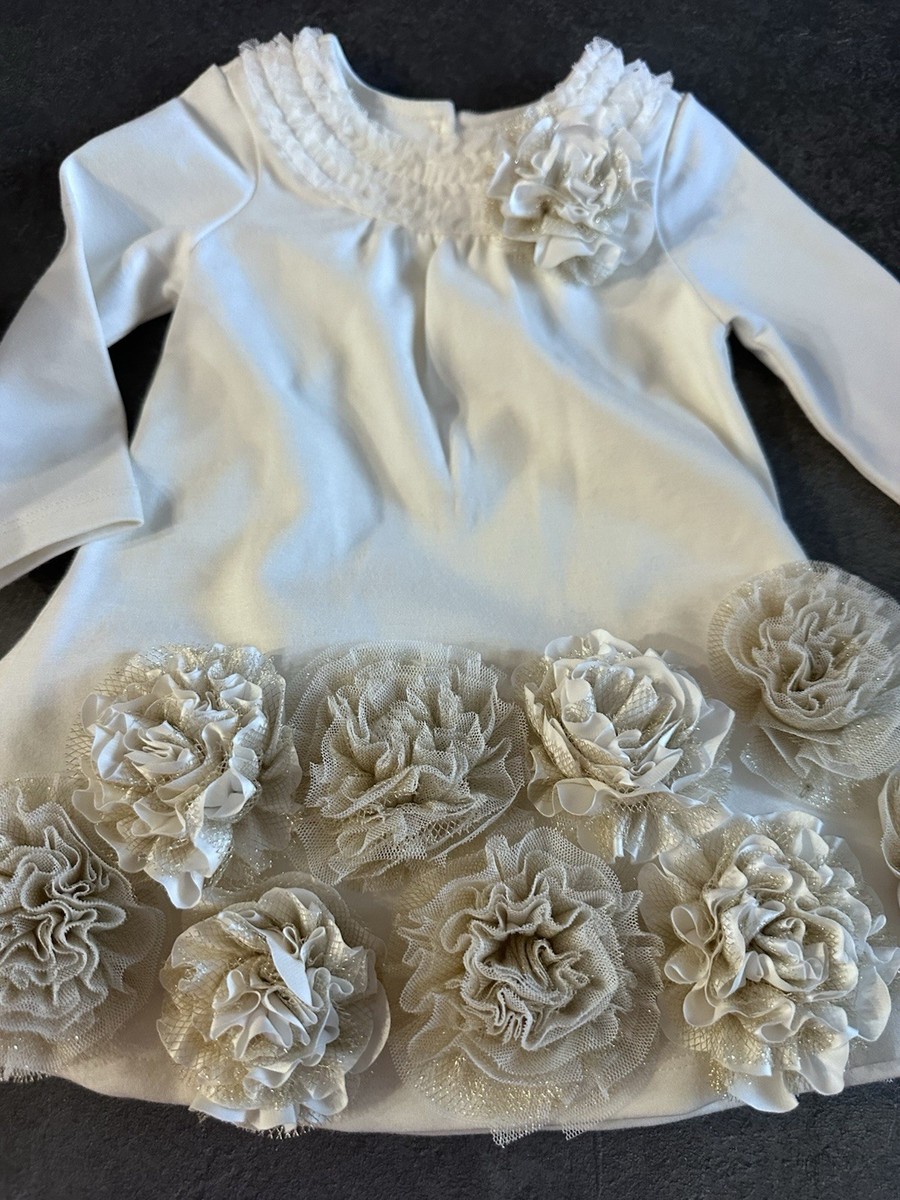 EUC Baby Biscotti Ivory Luxury Dress 3D Taupe Glitter Roses 6 Months | eBay