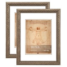 12x16 Antique Champagne Gold Grey Ornate Picture Frame, With Mat for 9x12 inc...