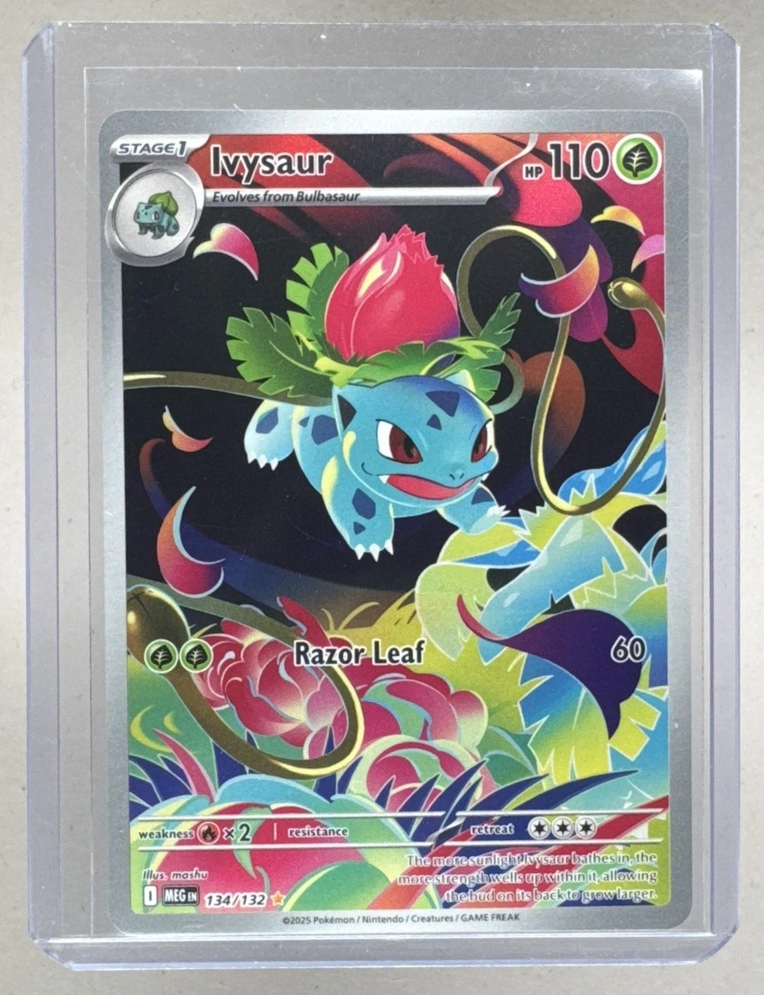 Ivysaur 2025 Pokemon Mega Evolution #134 Illustration Rare