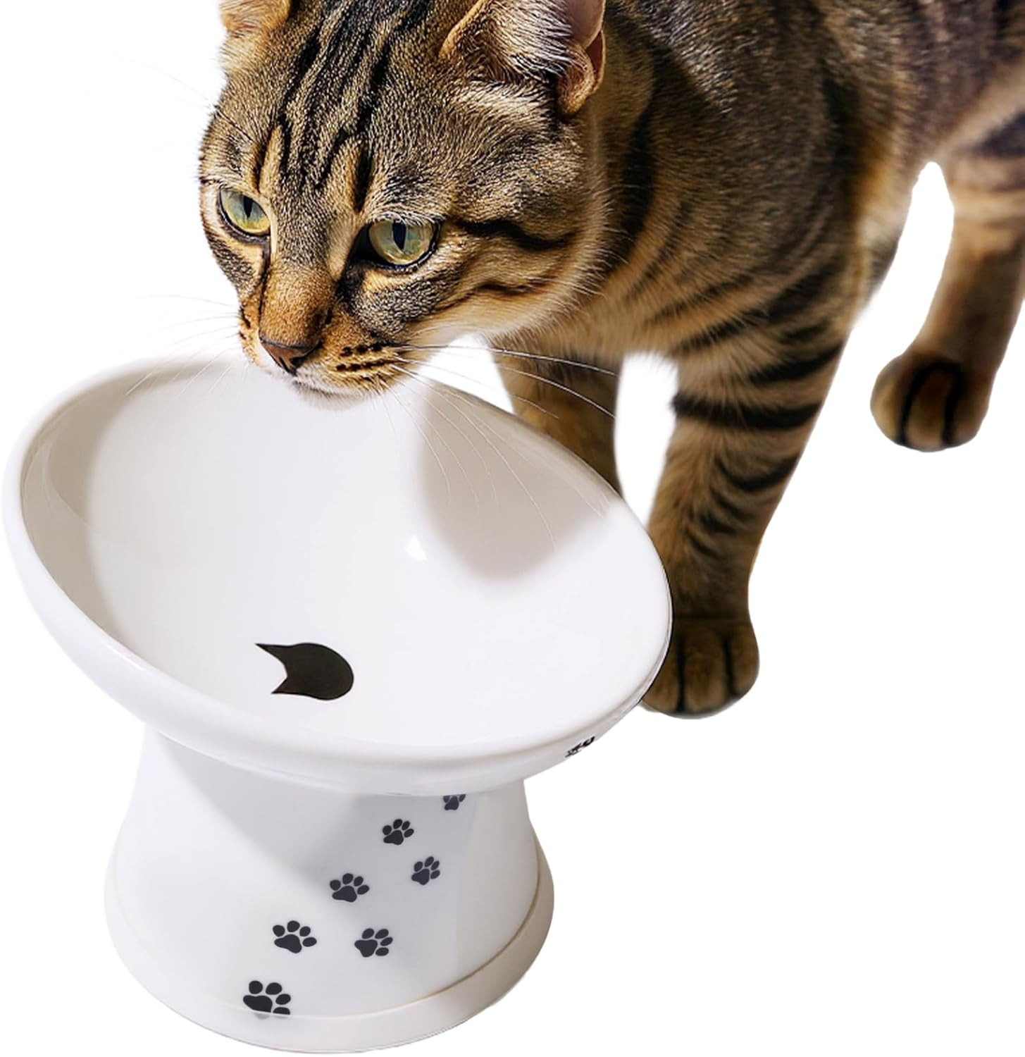 Ciotola Rialzata Necoichi Bianca per Gatti: Design Antistress 15°