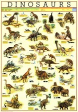 Dinosaur wall chart poster