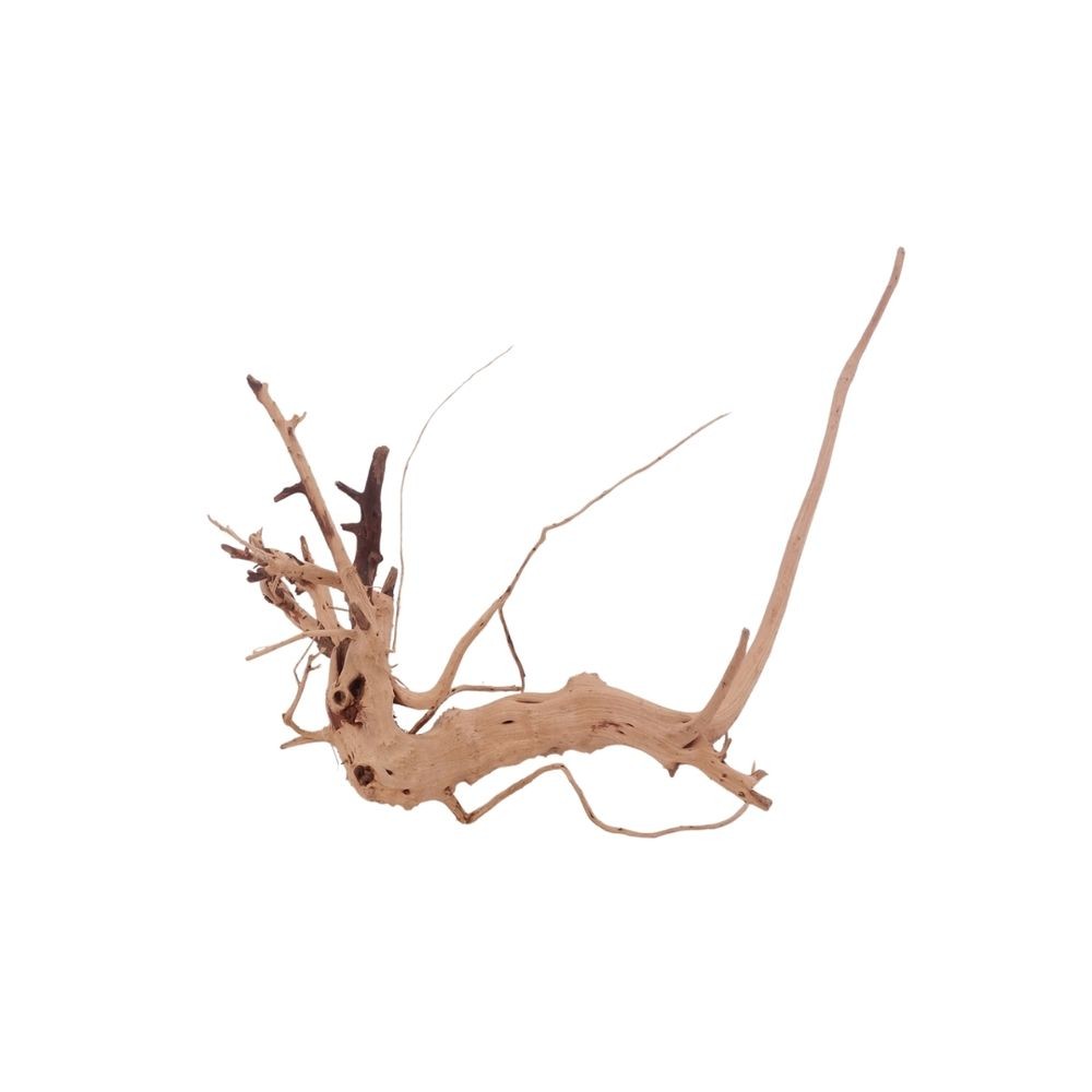 Radice Acquario Decorazione Siennawurzel Mangrovie Acquatiche Vero Legno M foto 3