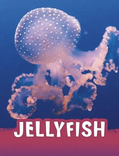 Jaclyn Jaycox | Jellyfish | Buch | Englisch (2022) | Animals | Gebunden-image