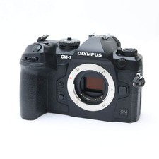 OM SYSTEM OM-1 Mirrorless Camera Body 341
