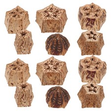 12 Pcs Bird Shredding Toys Foraging Parrot Parakeet Chewing Birds