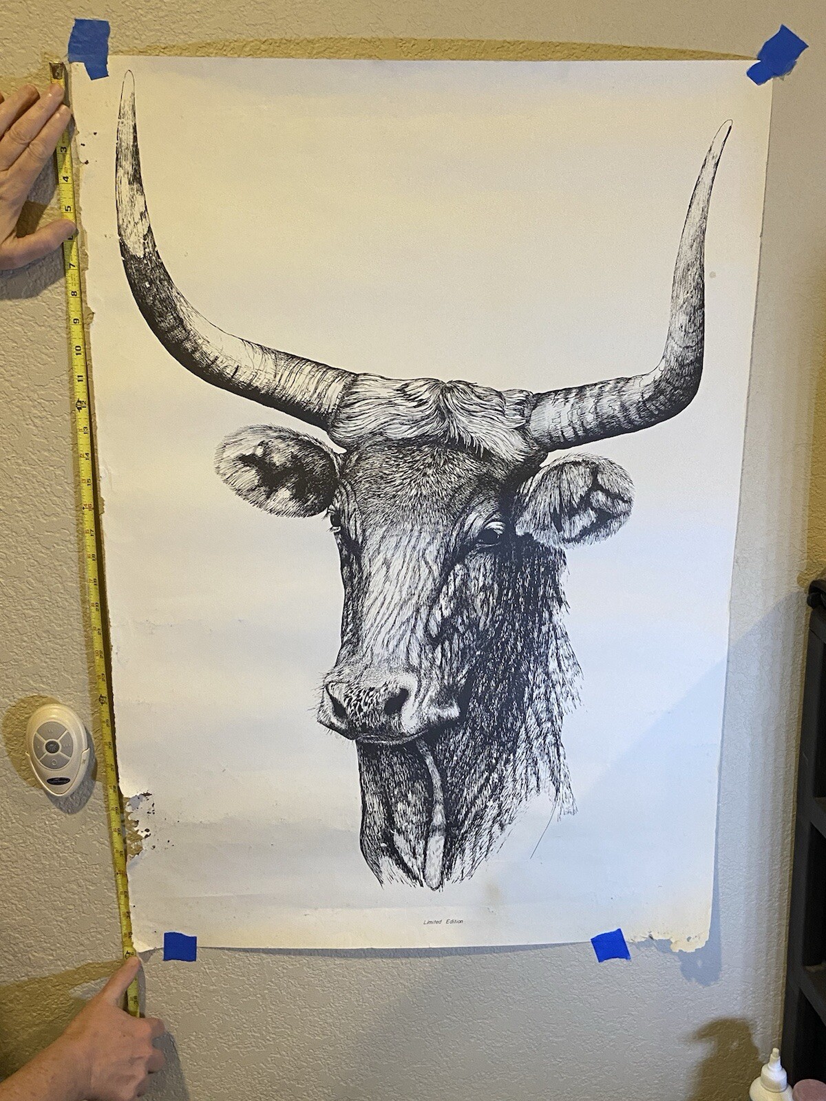 Picture 15 of 17