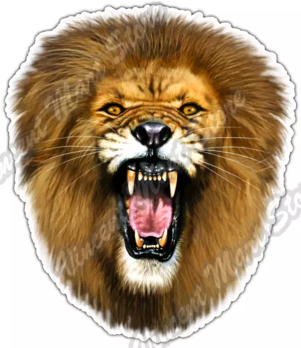 Roaring Lion Head Cat Roar Animal Wildlife Car Bumper Vinyl Sticker Decal  4"X5" | eBay