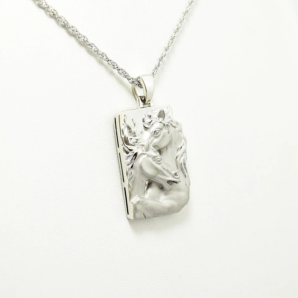 Collar Colgante Placa Caballo Carrera y Carrera K18 Oro Blanco 45cm 18'' Foto 3 de 4