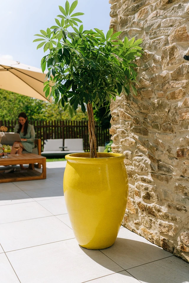 Blumentopf für Draußen Pflanzkübel Keramik frostfest für Garten Gelb Bacchus - Bild 2 von 4