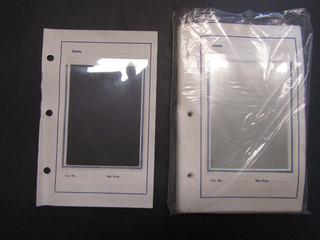 unbranded sales sheets 3 holed see thru display 50v