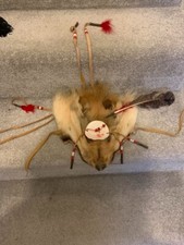 Vintage North American Fox Headdress