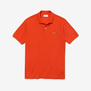 lacoste polo bambino offerte