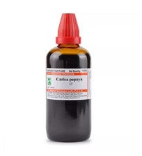 Willmar Schwabe Homeopathy Carica Papaya Mother Tincture Q (Size 30/100ml)