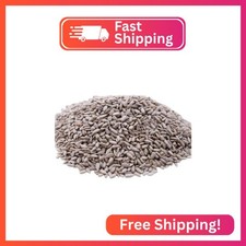 Unsalted Sunflower Seed Kernels by Gerbs 2 LBS - Top 11 Food Allergen Free N
