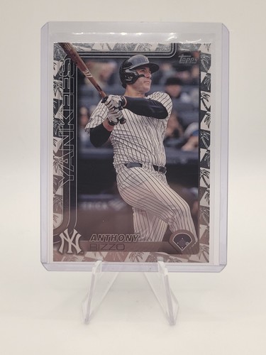 2025 Topps Spring Training #14 Anthony Rizzo New York Yankees | eBay