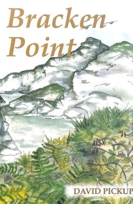 Bracken Point by David Pickup (Hardcover, 2002)