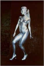 Ganzkörper Bodypainting Farbpulver Silber se...