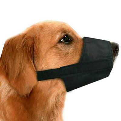 best muzzle for lurcher