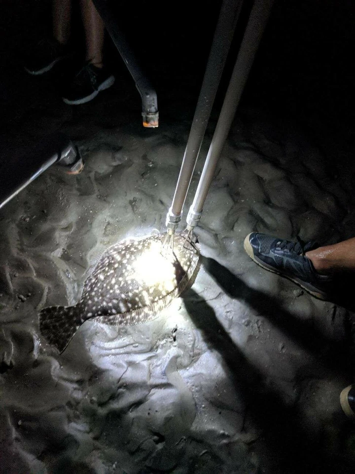 Platija Gigging Lanza Pesca Gig Doble Cabeza LED 1800 lms x2 Curvo Foto 4 de 4