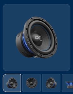 Spike Series 8" High-Performance Subwoofer, 350W RMS, 2/4 Ohms (new)