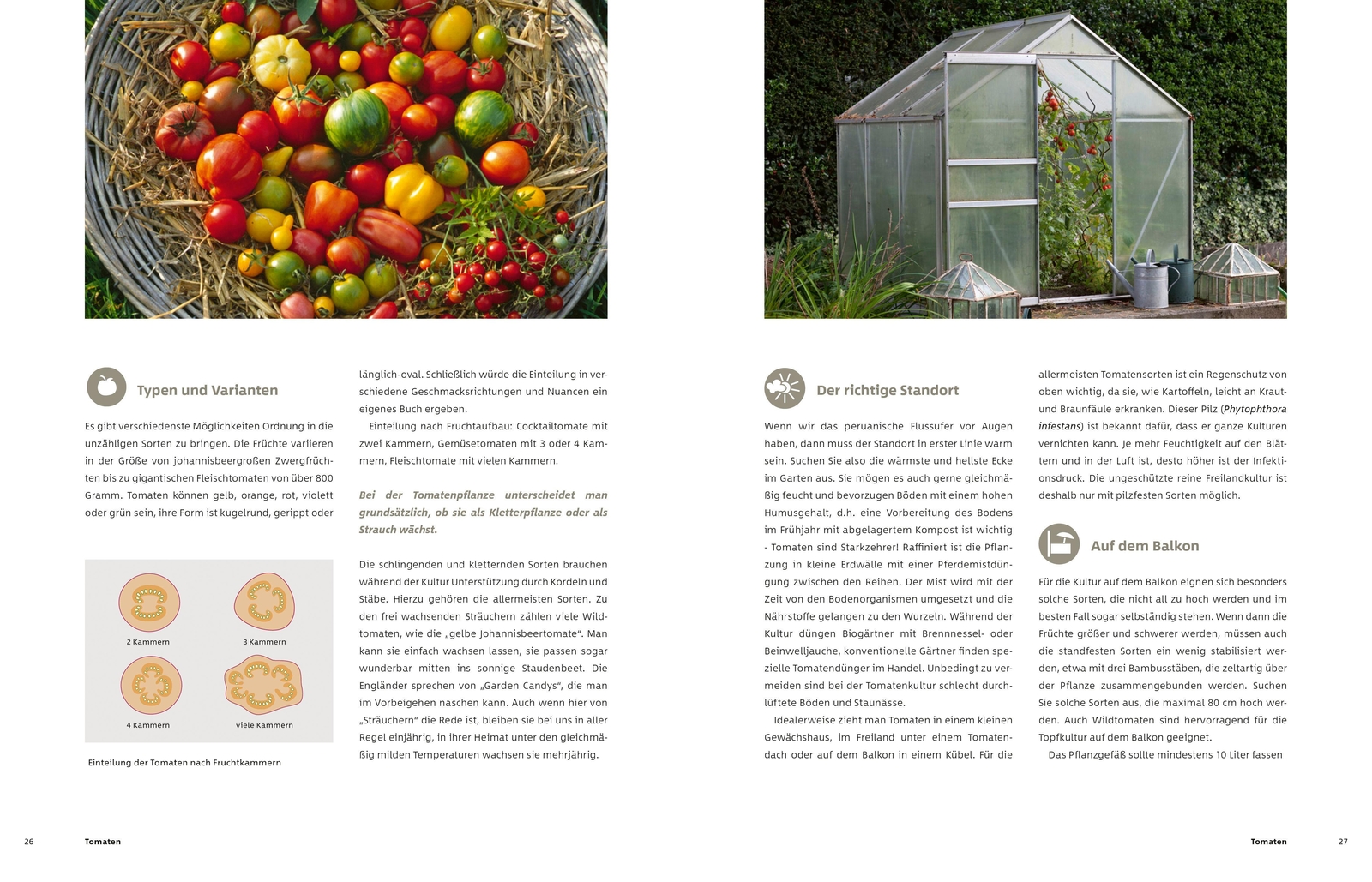 Thumbnail - Gemüse Und Kräuter Garten | Markus Phlippen | Buch | 432 S. | Deutsch