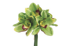 12" Real Touch Cymbidium Orchid Bouquet Green 6pk