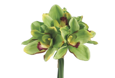 12'' Real Touch Cymbidium Orchid Bouquet Green 6pk