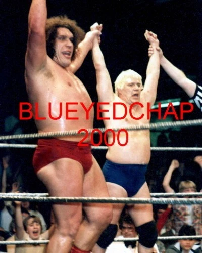 ANDRE THE GIANT & PAT PATERSON WRESTLER 8 X 10 WRESTLING PHOTO NWA WWWF - Image 1 of 1