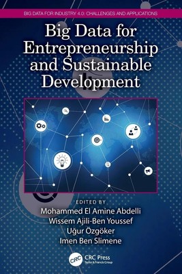Big Data for Entrepreneurship and Sustainable Development Abdelli (u. a.) Buch