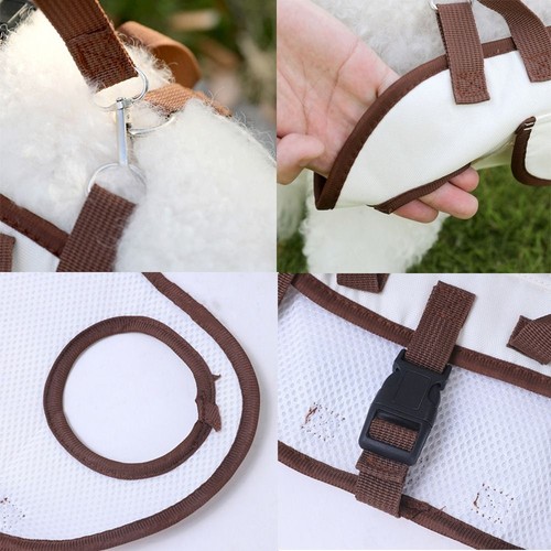 Labor Saving Dog Carrier Backpack Adjustable Pet Travel Backpack Hiking - Picture 6 of 14